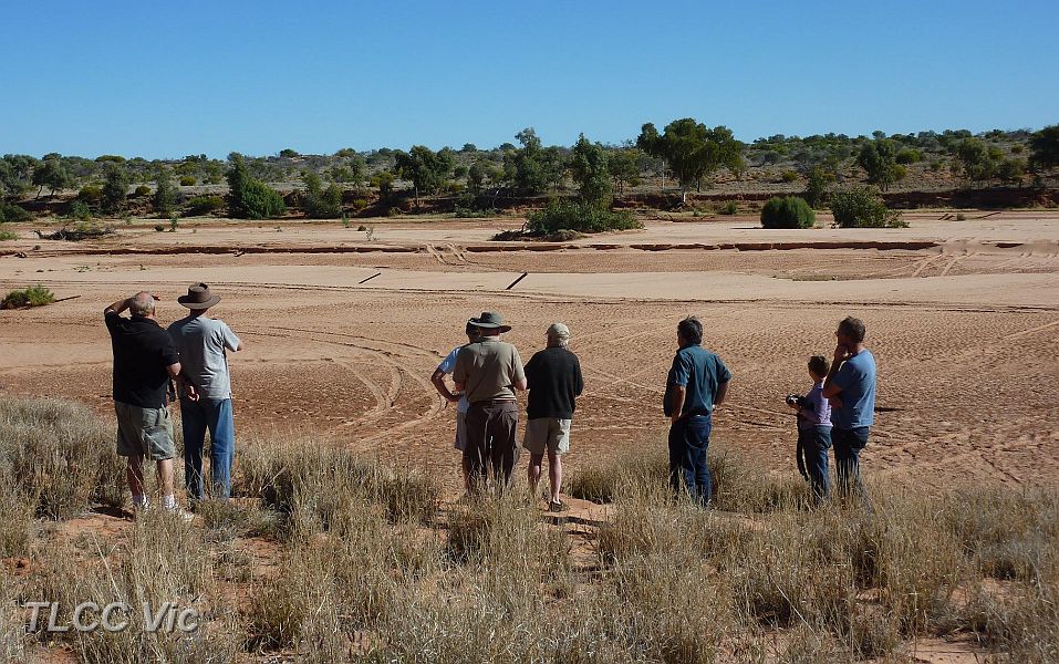 11-Surveying the Finke River Rail Crossing Site.JPG